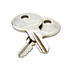 Replacement Keys Set of 2